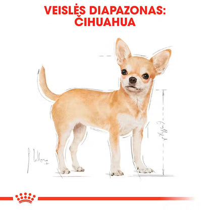 Chihuahua Adult dry dog ​​food