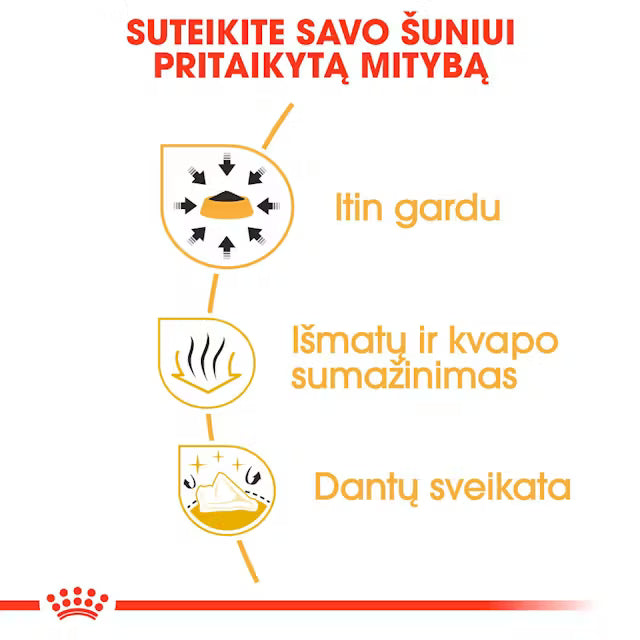 Chihuahua Adult sausas pašaras šuniui