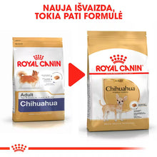 Chihuahua Adult sausas pašaras šuniui