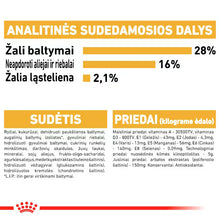 Chihuahua Adult sausas pašaras šuniui