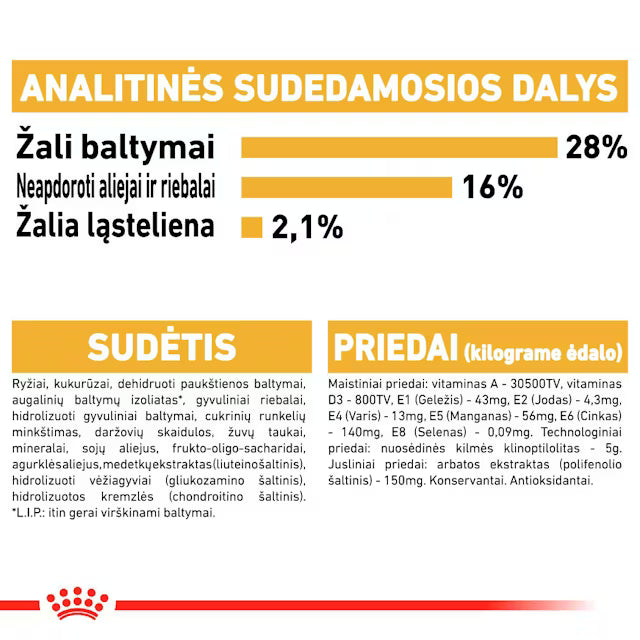 Chihuahua Adult sausas pašaras šuniui