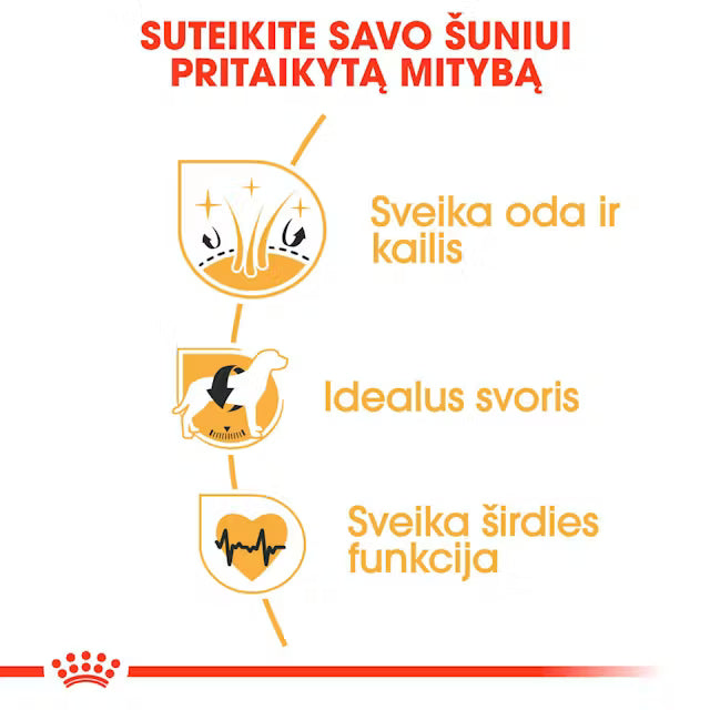 Cocker Adult sausas pašaras šuniui
