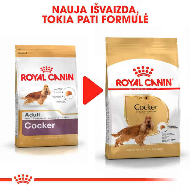 Cocker Adult sausas pašaras šuniui