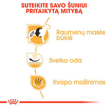 Sucha karma dla dorosłych psów buldoga francuskiego