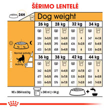German Shepherd Adult sausas pašaras šuniui