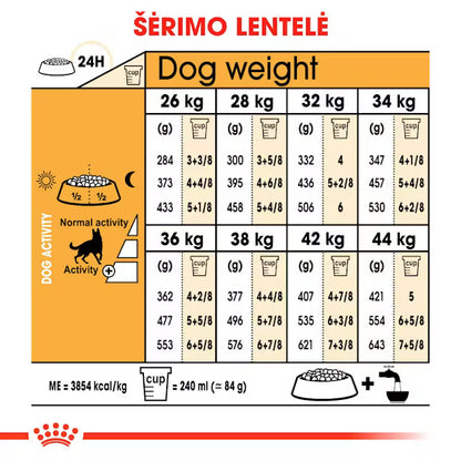 German Shepherd Adult sausas pašaras šuniui