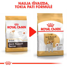 Sucha karma dla dorosłych psów Jack Russel