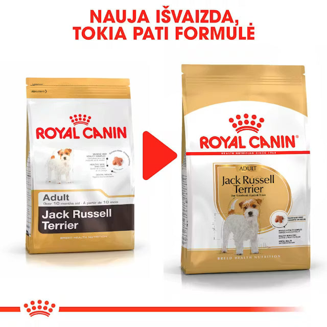 Sucha karma dla dorosłych psów Jack Russel