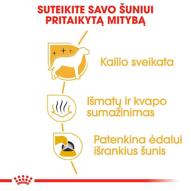 Sucha karma dla dorosłych psów rasy maltańczyk
