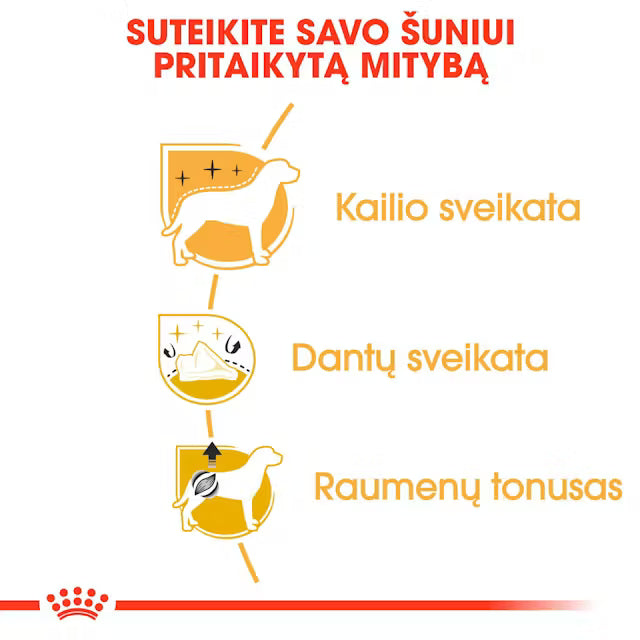 Sucha karma dla dorosłych psów Pudel