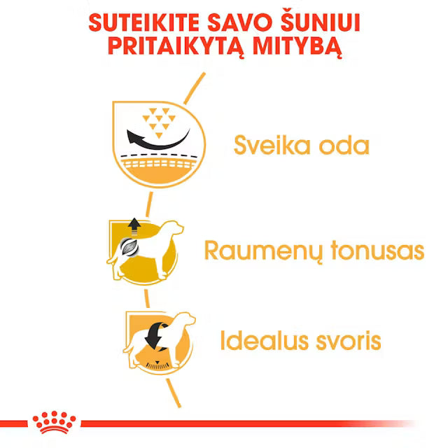 Sucha karma dla dorosłych psów Pug