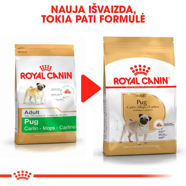 Sucha karma dla dorosłych psów Pug