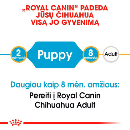 Chihuahua Puppy dry dog ​​food