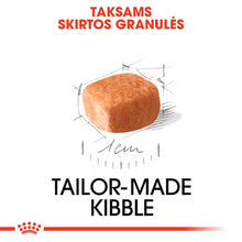 Sucha karma dla szczeniąt jamnika