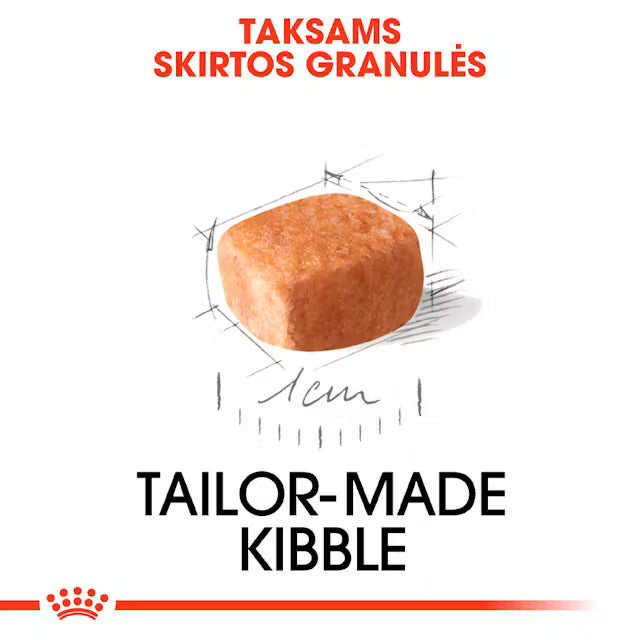Sucha karma dla szczeniąt jamnika