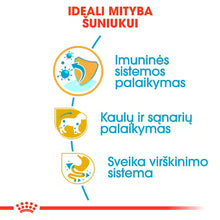 Sucha karma dla szczeniąt jamnika