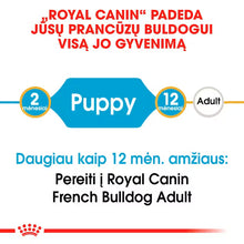 Sucha karma dla szczeniąt buldoga francuskiego