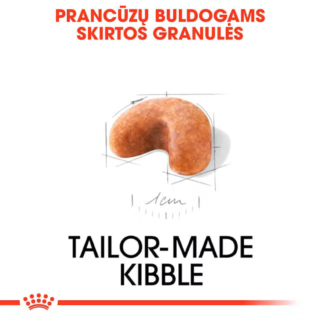 Sucha karma dla szczeniąt buldoga francuskiego