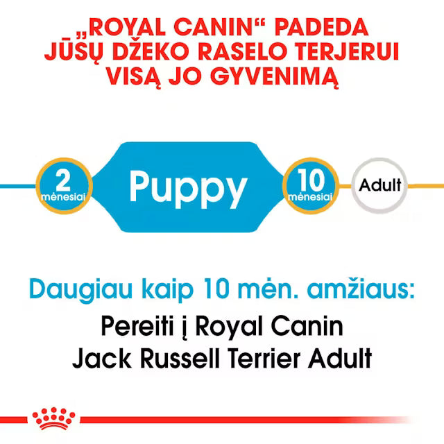 Royal Canin Jack Russell Terrier Puppy šunų maistas 1,5 kg - specialiai subalansuotas maistas džeko raselo terjerų šuniukams
