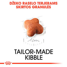 Royal Canin Jack Russell Terrier Puppy šunų maistas 1,5 kg - specialiai subalansuotas maistas džeko raselo terjerų šuniukams