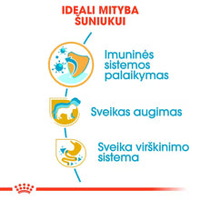 Royal Canin Jack Russell Terrier Puppy šunų maistas 1,5 kg - specialiai subalansuotas maistas džeko raselo terjerų šuniukams