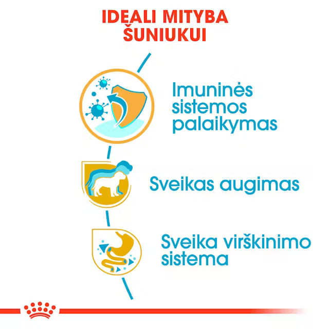 Royal Canin Jack Russell Terrier Puppy šunų maistas 1,5 kg - specialiai subalansuotas maistas džeko raselo terjerų šuniukams