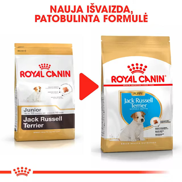Royal Canin Jack Russell Terrier Puppy šunų maistas 1,5 kg - specialiai subalansuotas maistas džeko raselo terjerų šuniukams