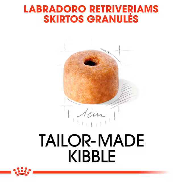 Sucha karma dla szczeniąt labradora retrievera