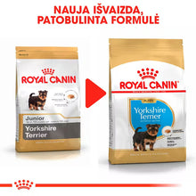 Royal Canin Yorkshire Terrier Puppy - Sausas pašaras šuniukams