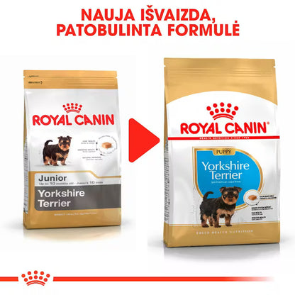 Royal Canin Yorkshire Terrier Puppy - sucha karma dla szczeniąt