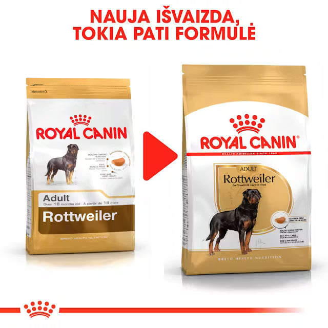Sucha karma dla dorosłych psów Rottweiler