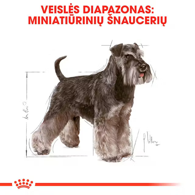 Sucha karma dla dorosłych psów rasy sznaucer miniaturowy