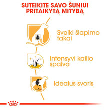 Sucha karma dla dorosłych psów rasy sznaucer miniaturowy