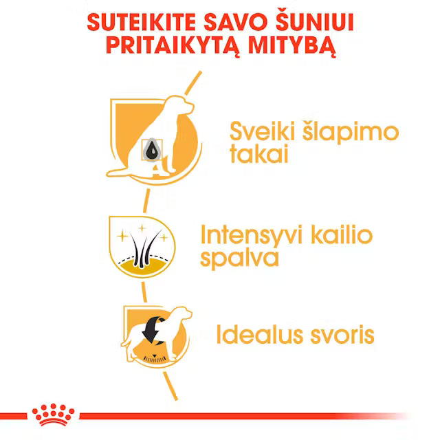 Sucha karma dla dorosłych psów rasy sznaucer miniaturowy