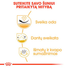 Sucha karma dla dorosłych psów Shih Tzu