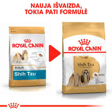 Sucha karma dla dorosłych psów Shih Tzu