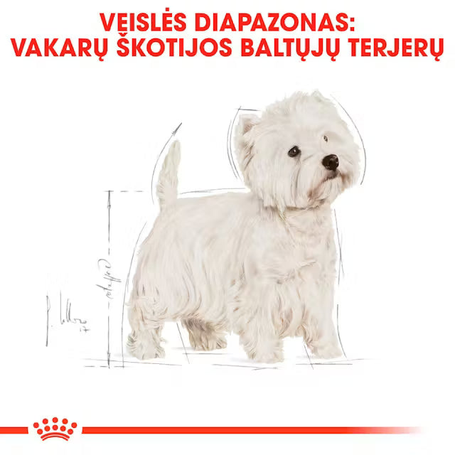 Royal Canin West Highland White Terrier Adult - sucha karma dla psów