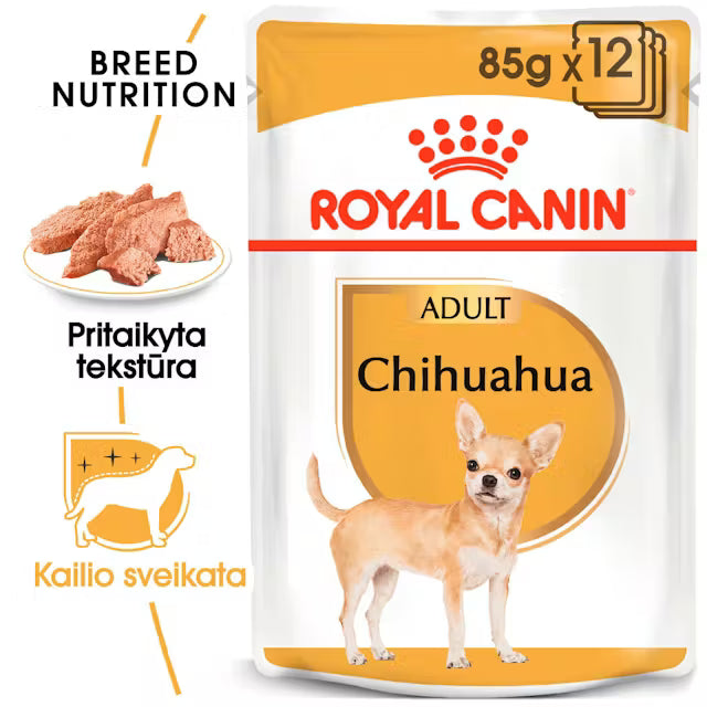 Chihuahua drėgnas pašaras šuniui