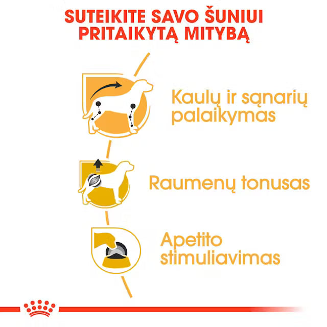Dachshund mokra karma dla psów