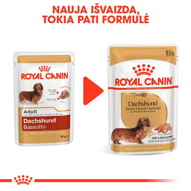 Dachshund mokra karma dla psów