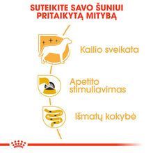 Royal Canin Yorkshire Terrier - Mokra karma dla psów