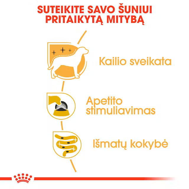 Royal Canin Yorkshire Terrier - Mokra karma dla psów