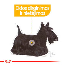 Mini Dermacomfort dry dog ​​food