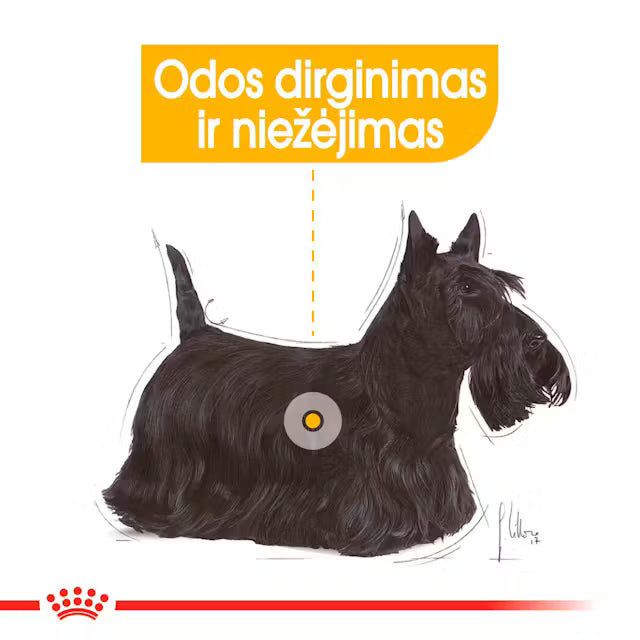 Mini Dermacomfort dry dog ​​food