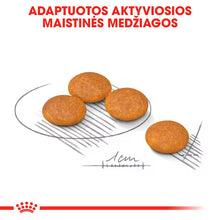 Mini Dermacomfort dry dog ​​food