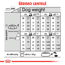Mini Dermacomfort dry dog ​​food