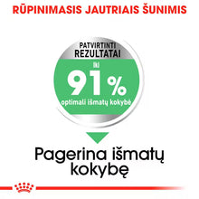 Medium Digestive Care sausas pašaras šuniui