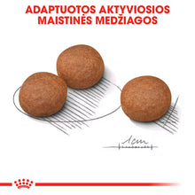 Medium Digestive Care sausas pašaras šuniui