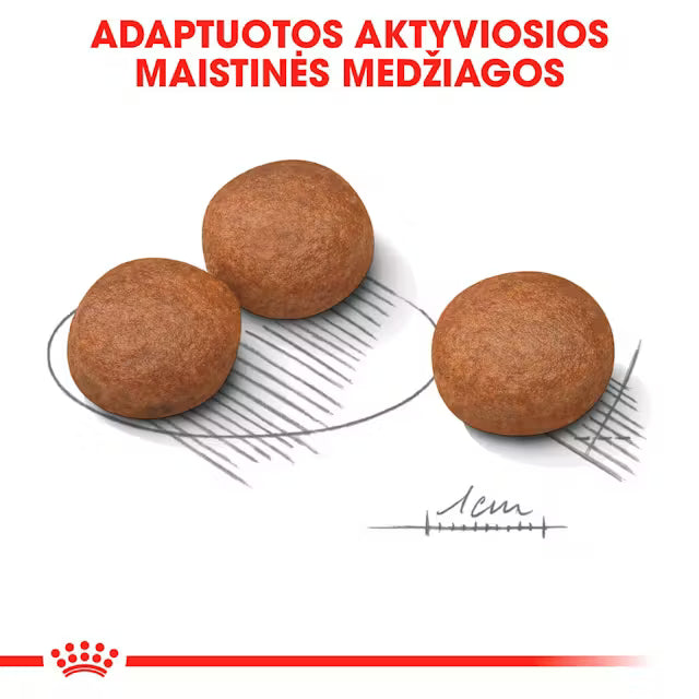 Medium Digestive Care sausas pašaras šuniui