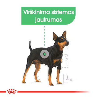 Mini Digestive Care sucha karma dla psa